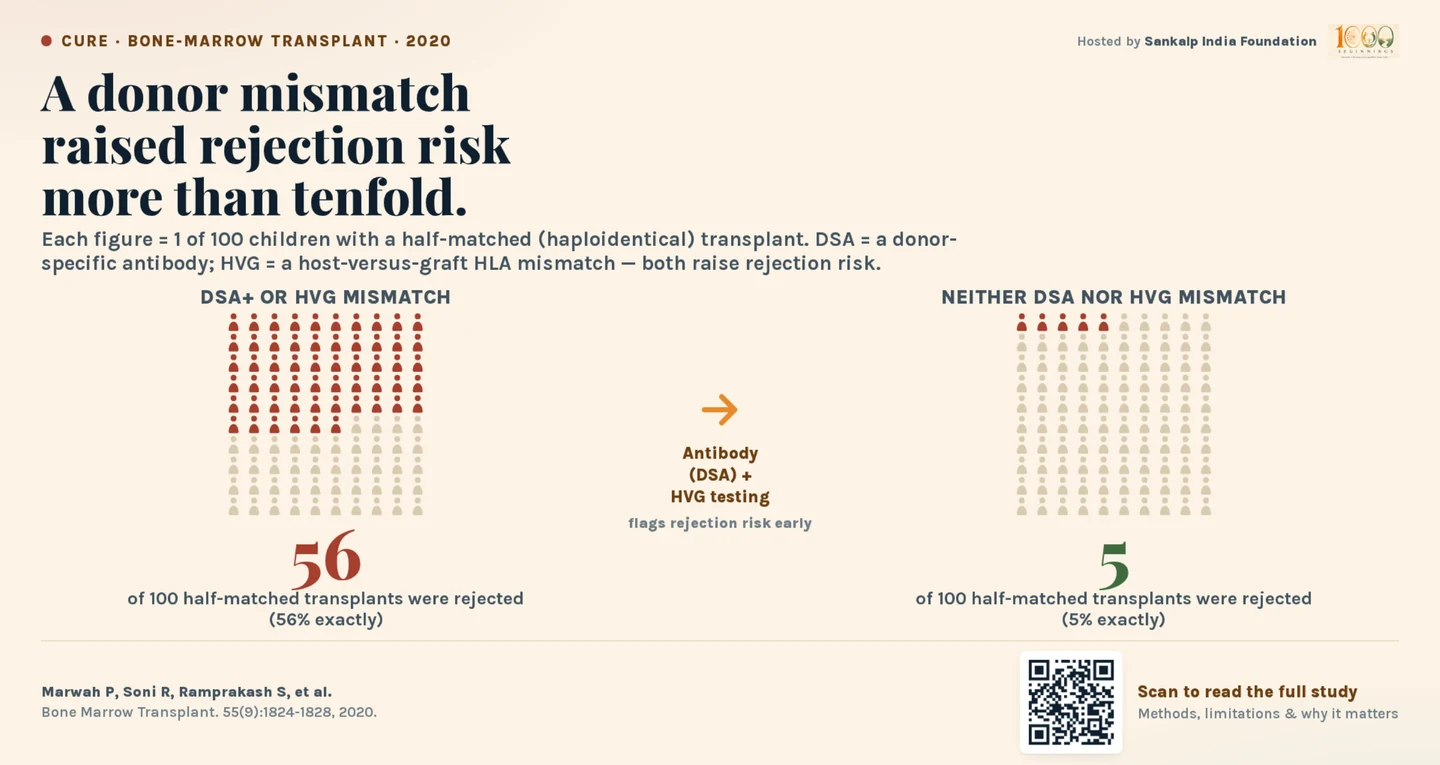 A donor mismatch raised rejection risk more than tenfold. Among half-matched (haploidentical) transplants, 56 of every 100 were rejected where a donor-specific antibody or a host-versus-graft HLA mismatch was present, against 5 of every 100 where neither was.