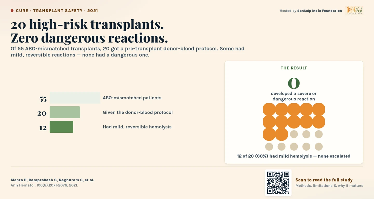 20 high-risk transplants, zero dangerous reactions. Of 55 ABO-mismatched patients, the 20 given a pre-transplant donor-blood protocol included 12 with mild, reversible hemolysis and none with a severe or dangerous reaction.